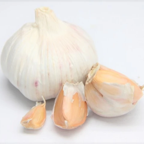 garlic for sale