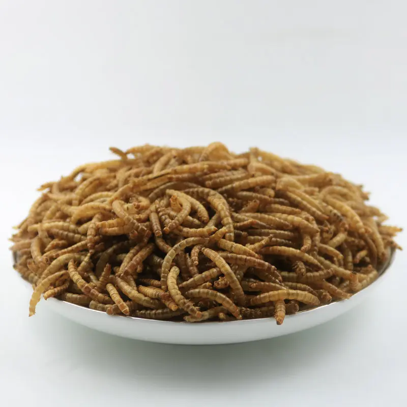 Wholesale Dried Mealworm Edible Insects Dry Maggot Fish Feed Bird Feed Meal Worm