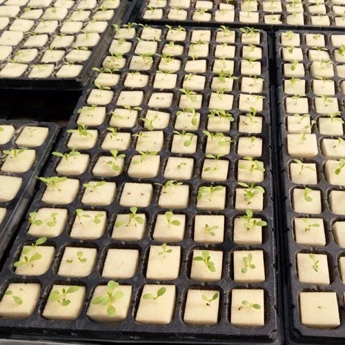 Vegetables Seeds Hydroponic Vertical Farming Growing Foam Growth Sponges for Plant