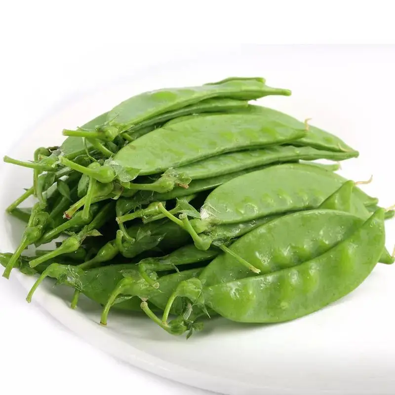 
Large wholesale of fresh Snow Pea 