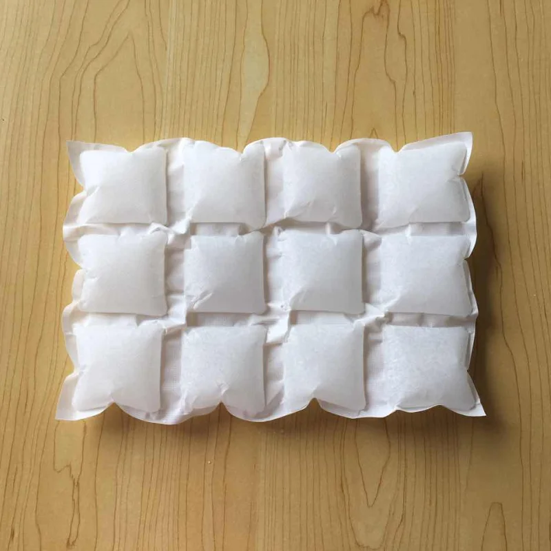 Cold Chain Insulation Transport Ice Pack For Food Seafood Fishing Dry Ice Sheet Bio Pharmacy Hydrated Ice Pack