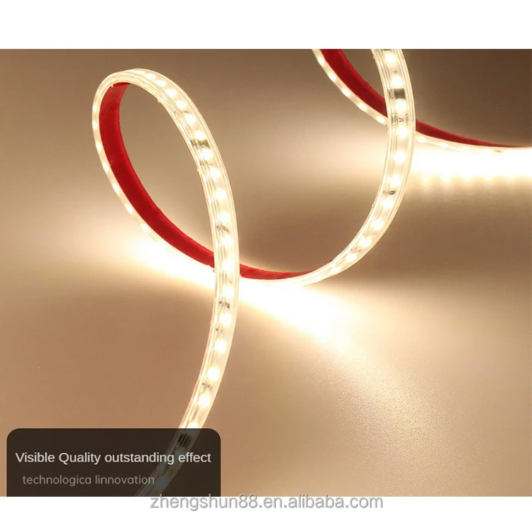 Factory Price Project Series 110V 220V 10MM 3636 144P Waterproof IP65 Indoor Outdoor Decoration Smart Lights LED Strips