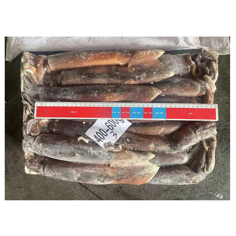 New Arrival Sea Frozen Whole Squid 400-600g Frozen Illex Argentina Squid
