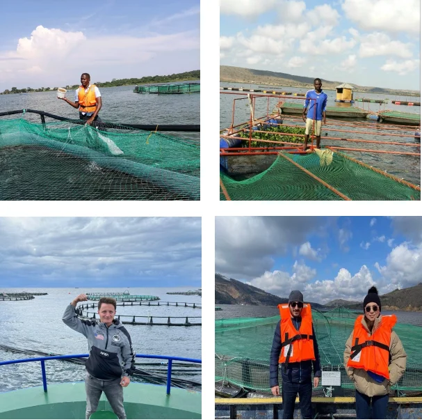 Hdpe Fish farming Cage Competitive Price Durable Aquaculture And Seafood Farms New Style Custom Designs China Manufacturer