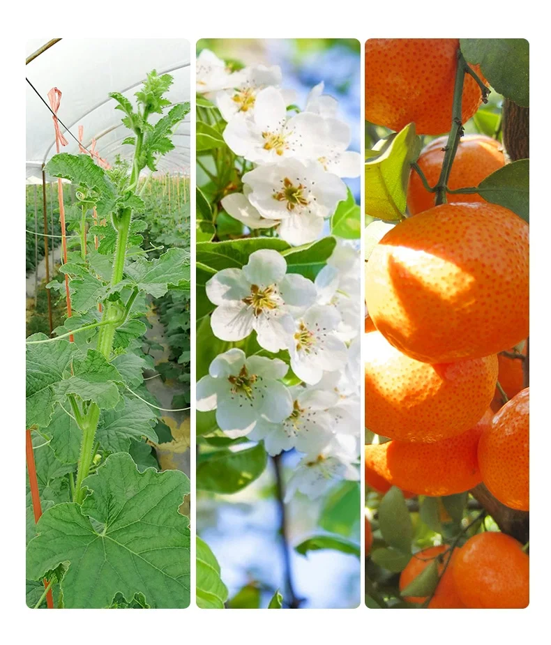 Wholesaler 100% water soluble fertilizer potassium phosphite liquid potassium phosphate fertilizer