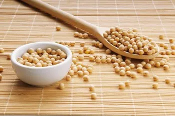 Directly Factory Supply Isolated Soy Protein, Meat Ball, Fish Ball  Production