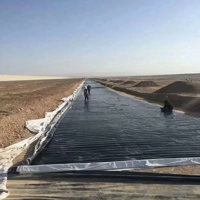 White Black Green Blue Smooth Textured HDPE Waterproof Geomembrane for Dam Liner in Kenya Fish Farm Shrimp Pond Liner