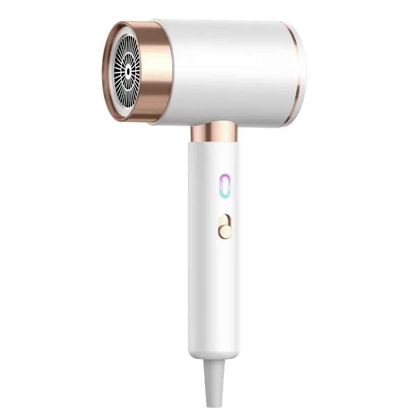 Essential oils Hair Drier Blow Dryer Professional High Power Hot And Cold Negative Ion Hair Dryer