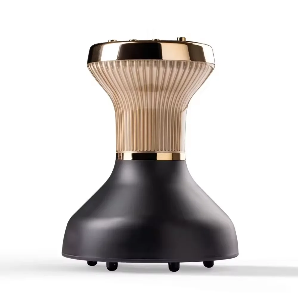 Professional 800W 2-in-1 Ionic Mini Hairdryer Blower with Removable Diffuser for Curly Hair Hot Heat Setting Hotel Outdoor Use