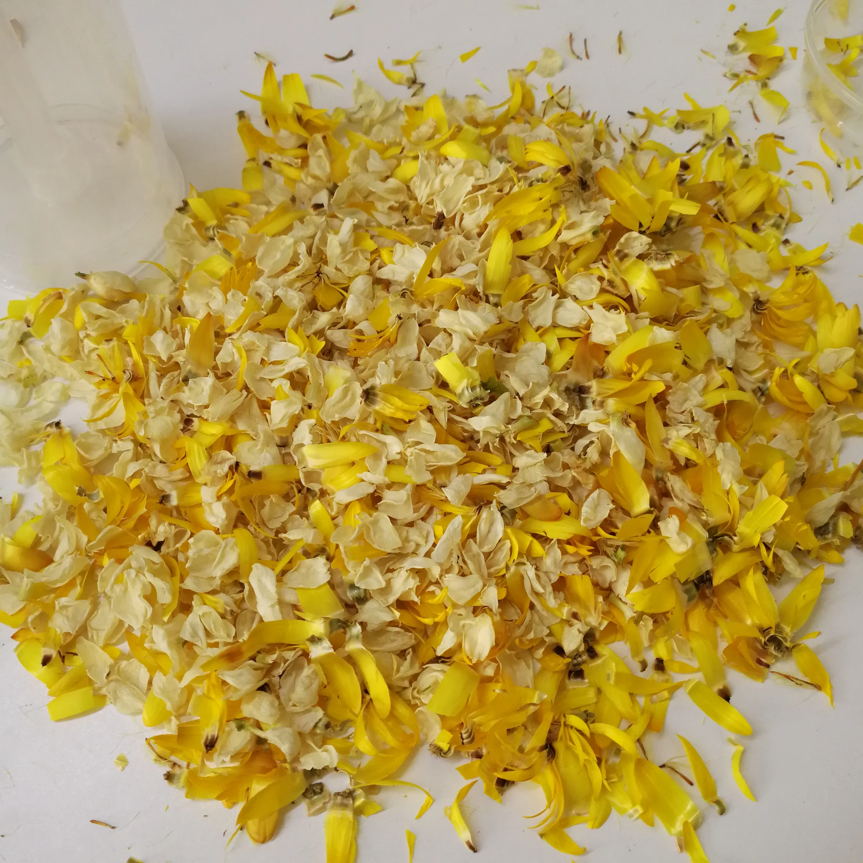 Top Sellers Party Popper Push Pop Confetti Cannon for Child Kid