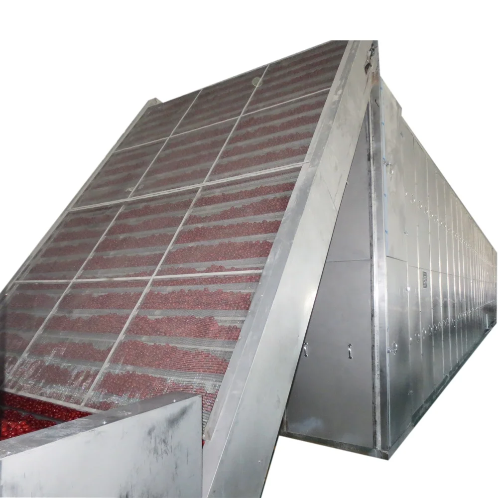 Машина для сушки фруктов с красными датами