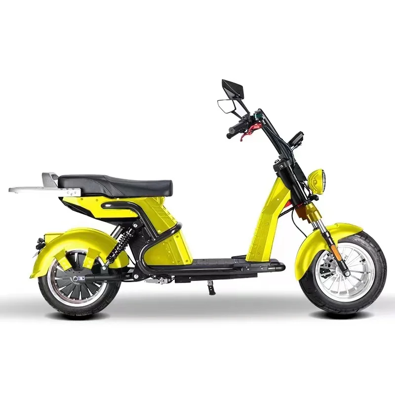 Electric bike scooter 3000w 30ah double motor headlight display