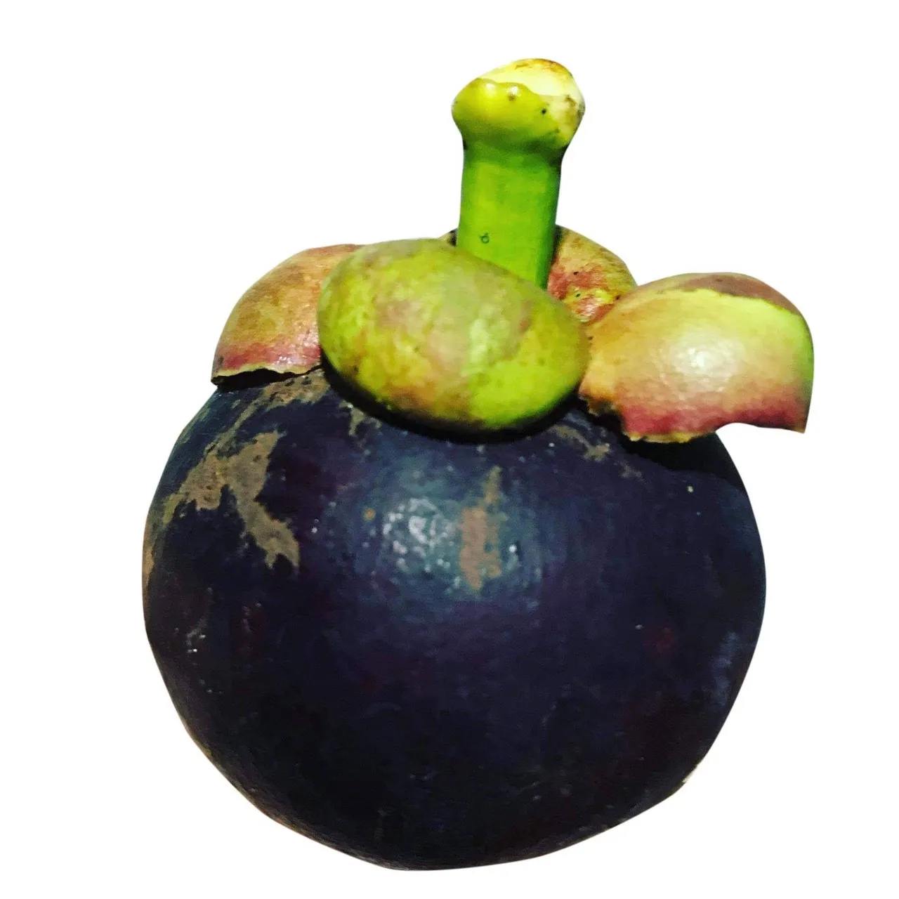  Органические свежие