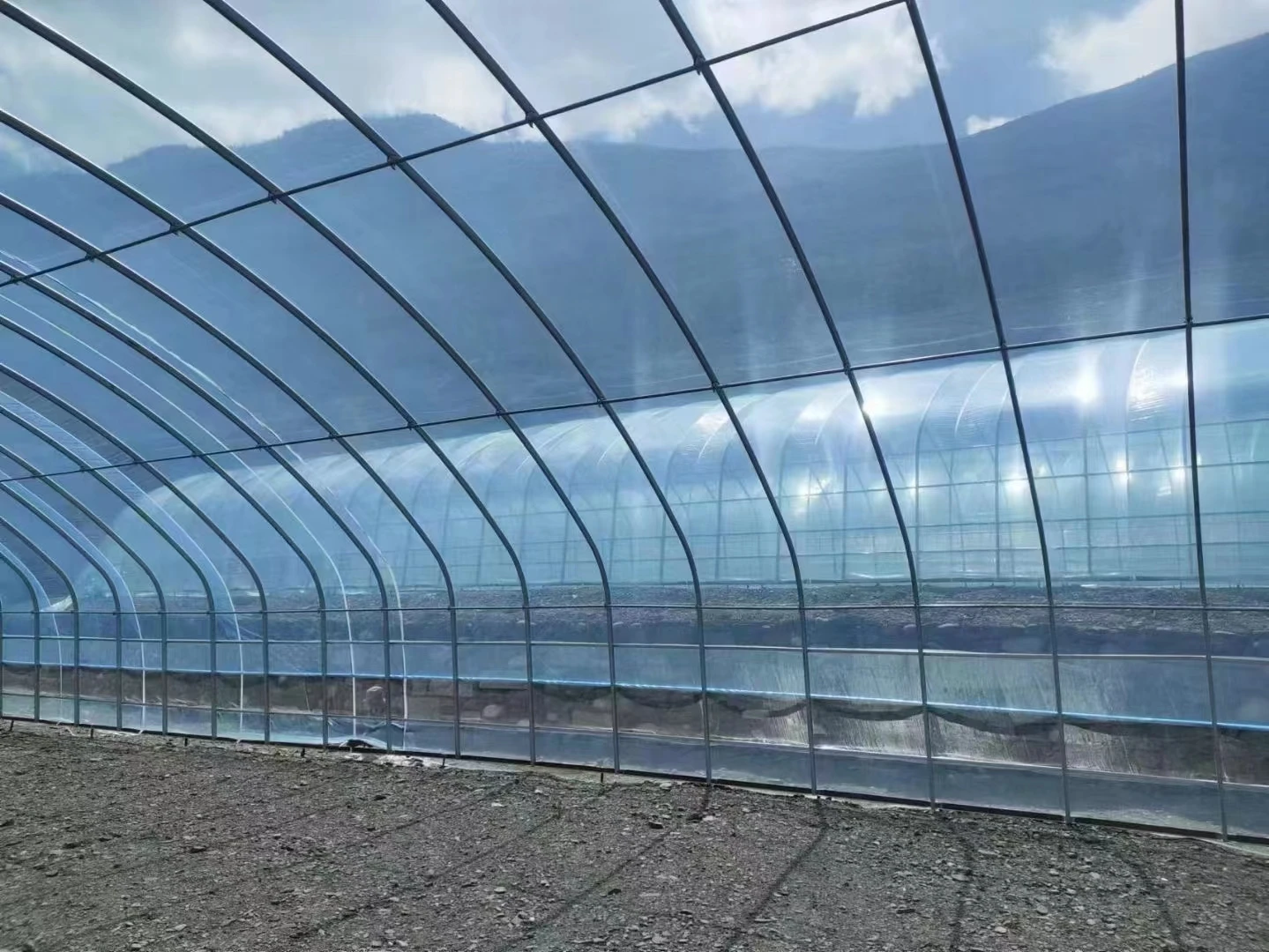 single tunnel tomato fruit flower green house 8x30 meter low tunnel serre agricole m greenhouse for sale