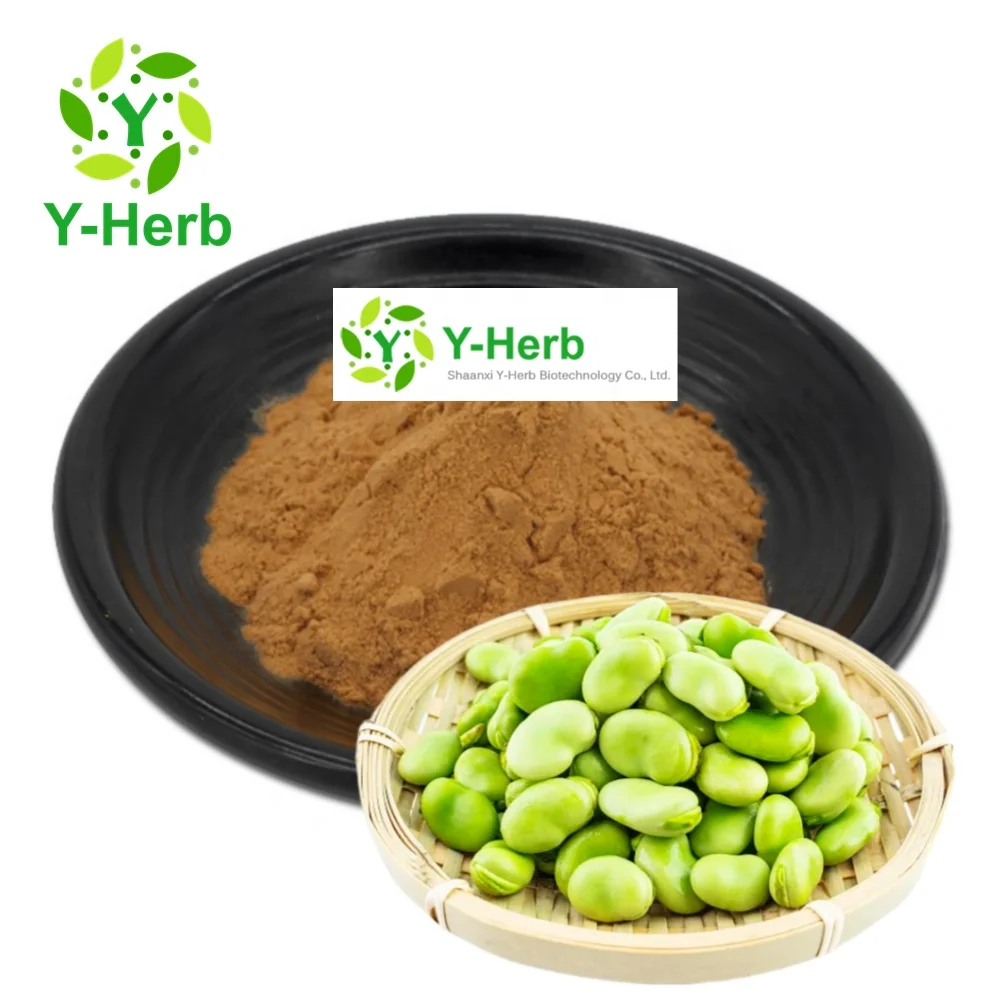 Food Grade Supplements Fava Extract 10:1 Dried Faba Fava Can Dou Powder 90% Broad/Faba/Fava Bean Protein Powder