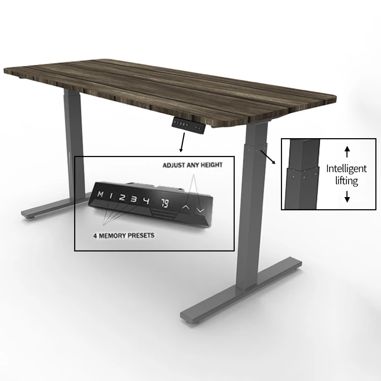 All Ages Student Homework Office Single Motor Height Adjustable Sit Stand Electric Standing Desk