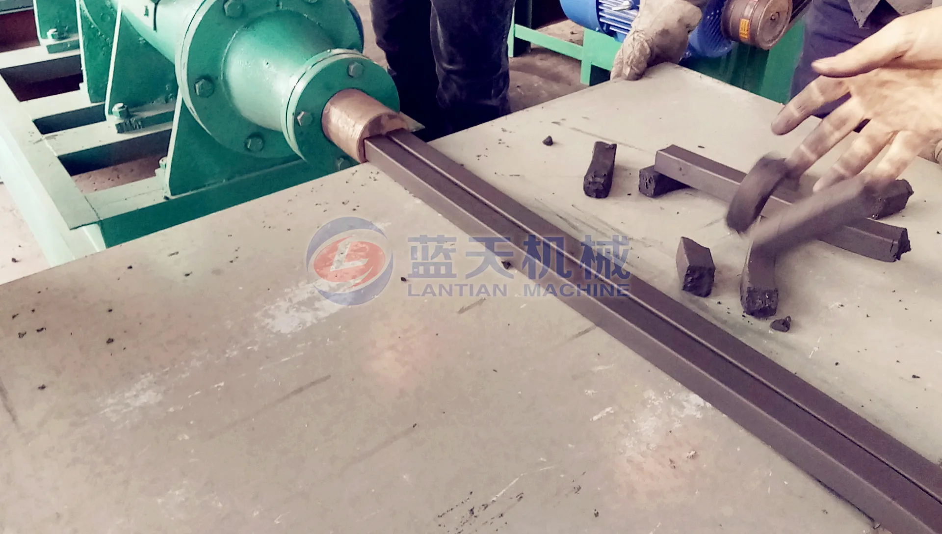 350kg per hour briquette walnut shell charcoal machine nuts sawdust briquette equipment