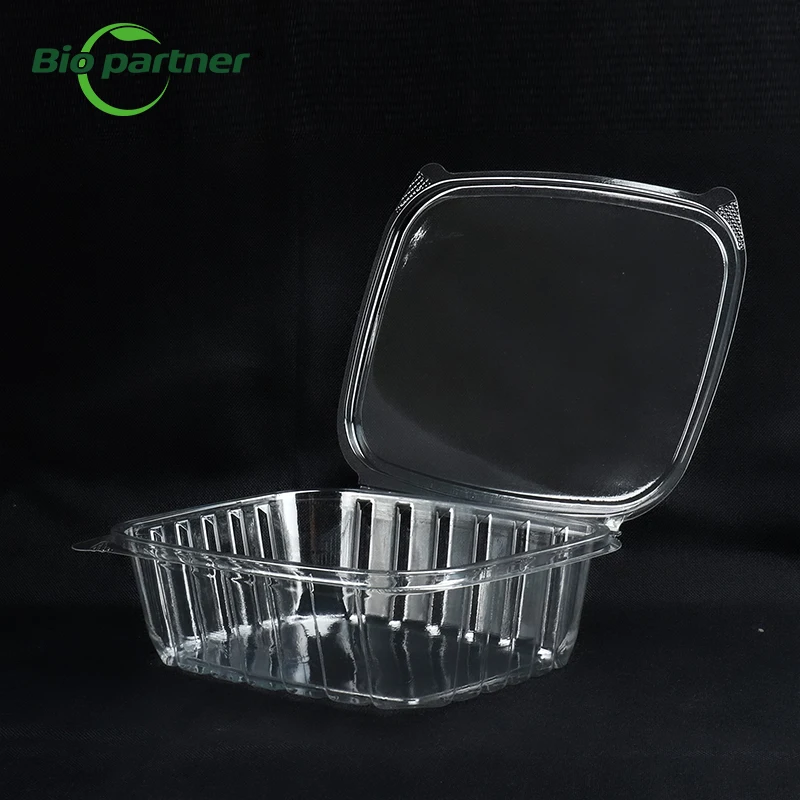 Wholesale Rectangular Clamshell Pet Packaging Plastic Food Containers Disposable Hinged Takeout Blister Packaging Box