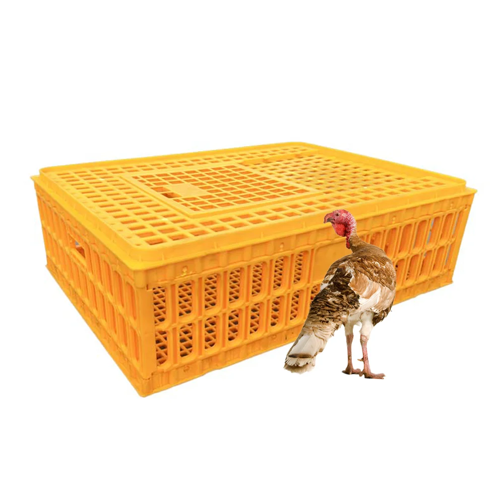 New Arrivals Plastic Household Turnover Basket Poultry Chicken Duck Pigeon Goose Cages To Transport Live Chickens