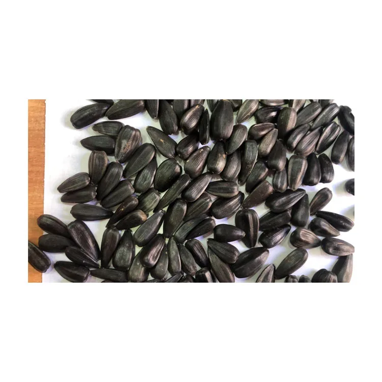 Black  sunflower seeds Nut & Kernels Snacks Roasted sunflower seeds cheap price Wholesale Packaging Private Label