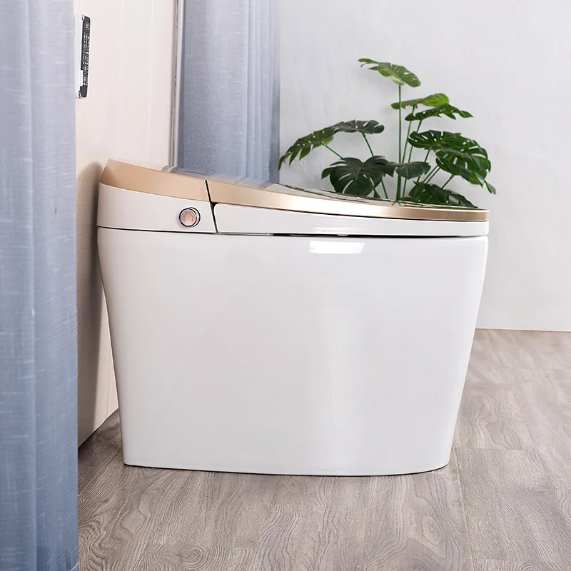 Санитарная посуда компостирование портативный умный автоматический сифон для мошки смывание подогрев сидений туалет