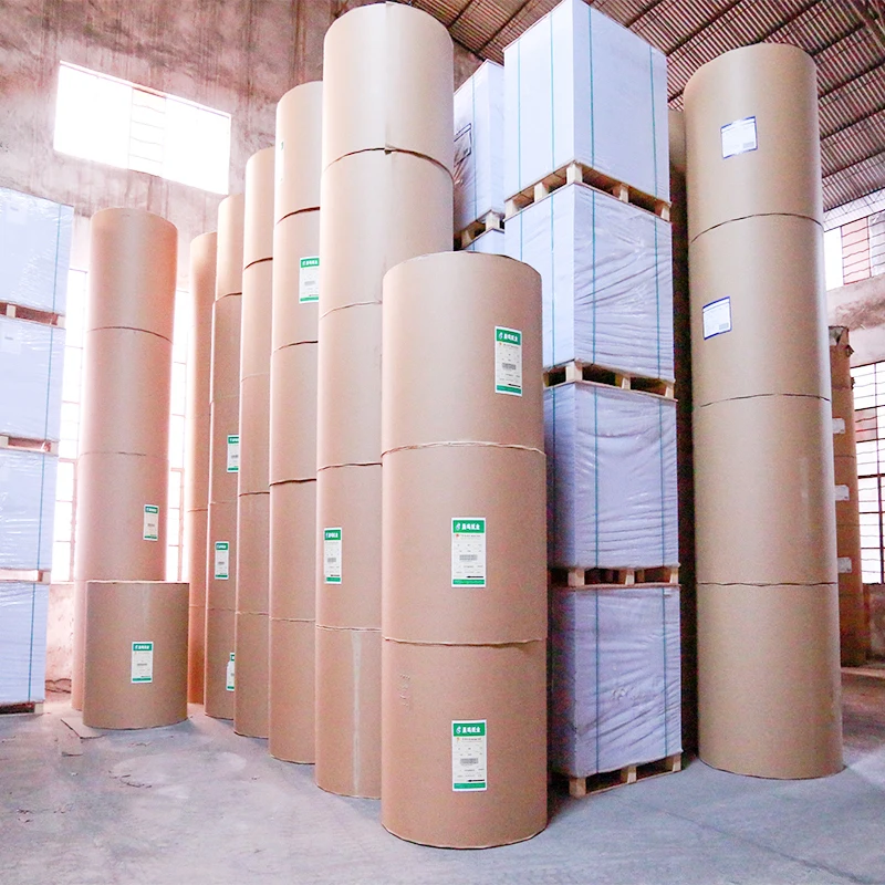 Quality Manufacturer 65Gsm 70Gsm Cash Register Jumbo Roll 55Gsm Rolls Paper For Thermal Printer