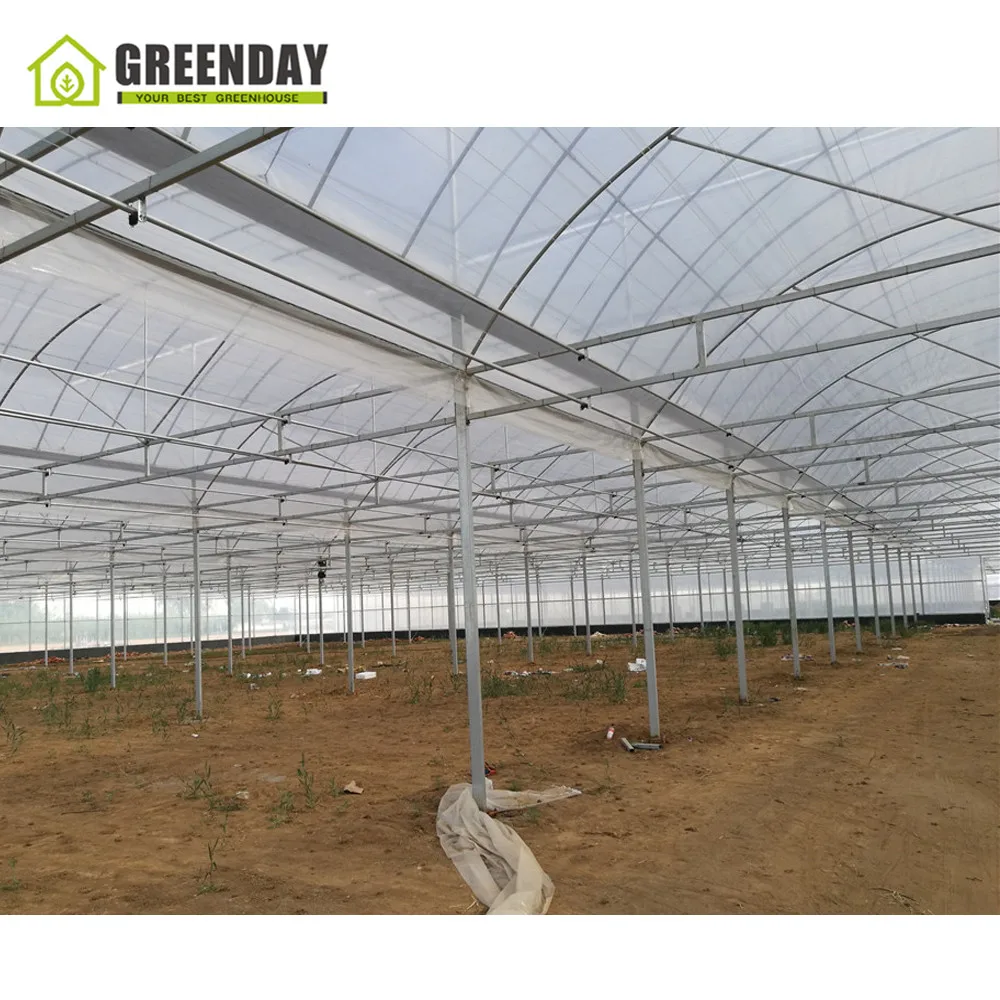 
GREENDAY Chinese morden plastic multi span greenhouse with irrigation system 