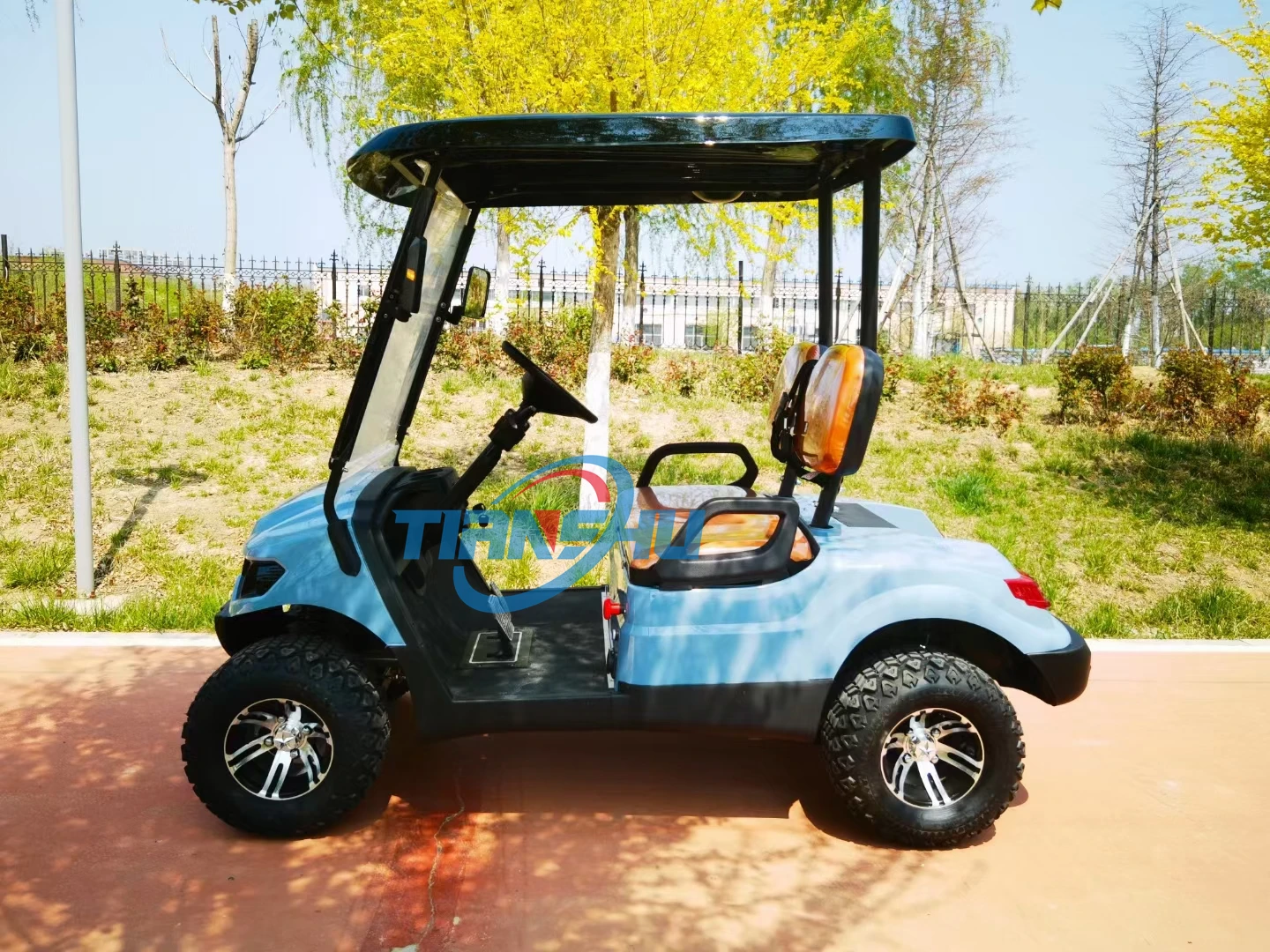 Tianshu Ce Gasoline golf cart with Oil Cooler 2 seat Gas 300CC Oil Cooler Steel Free custom logo 15L Fuel tank capacity