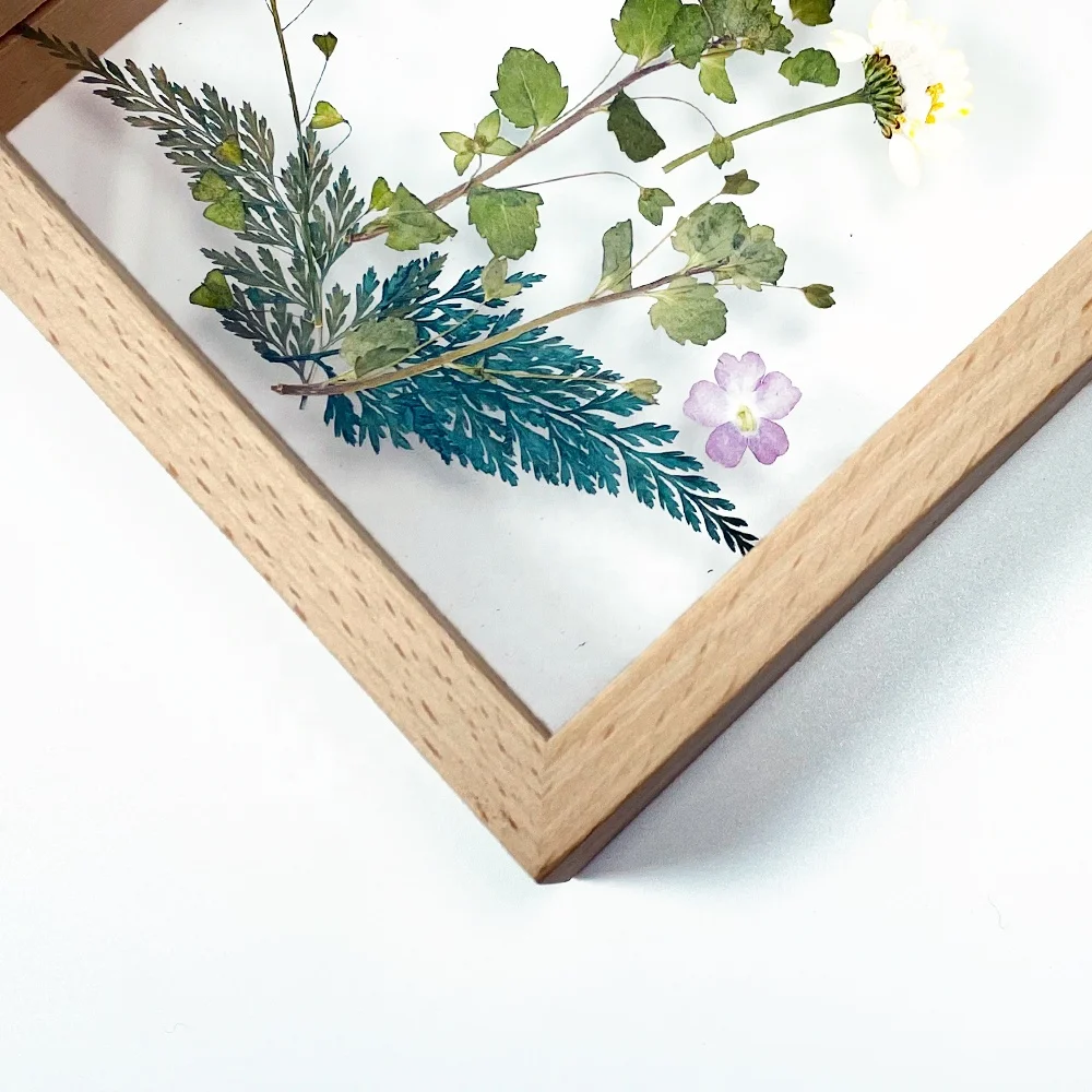 Creative Transparent Wooden Double-Sided Glass Display Photo Frame Three-Dimensional Plant Specimen Picture Box Wood Frames