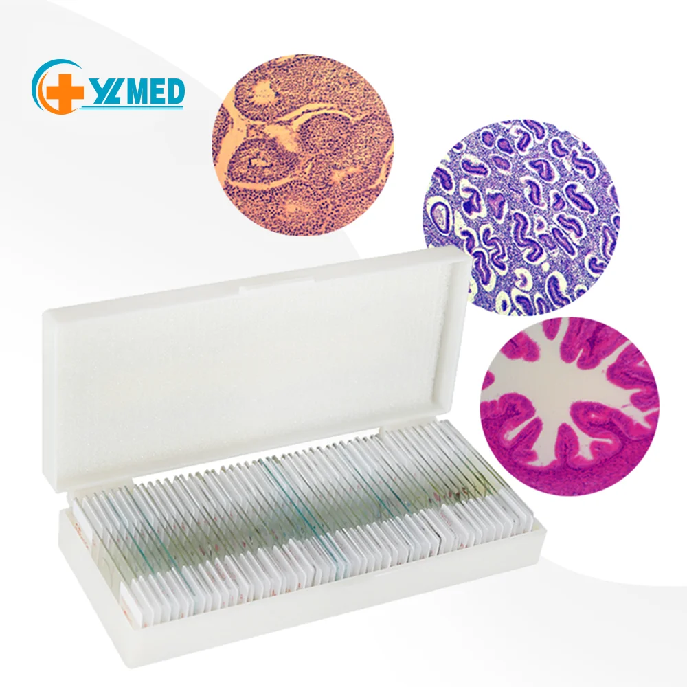 50Pcs Microscope Slides Prepared for Kids Students Education Science Home school with Lab Specimens Biological Sample