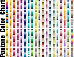 3D High Quality Silicone Heat Transfer Patch with Fabric for Sports Clothing