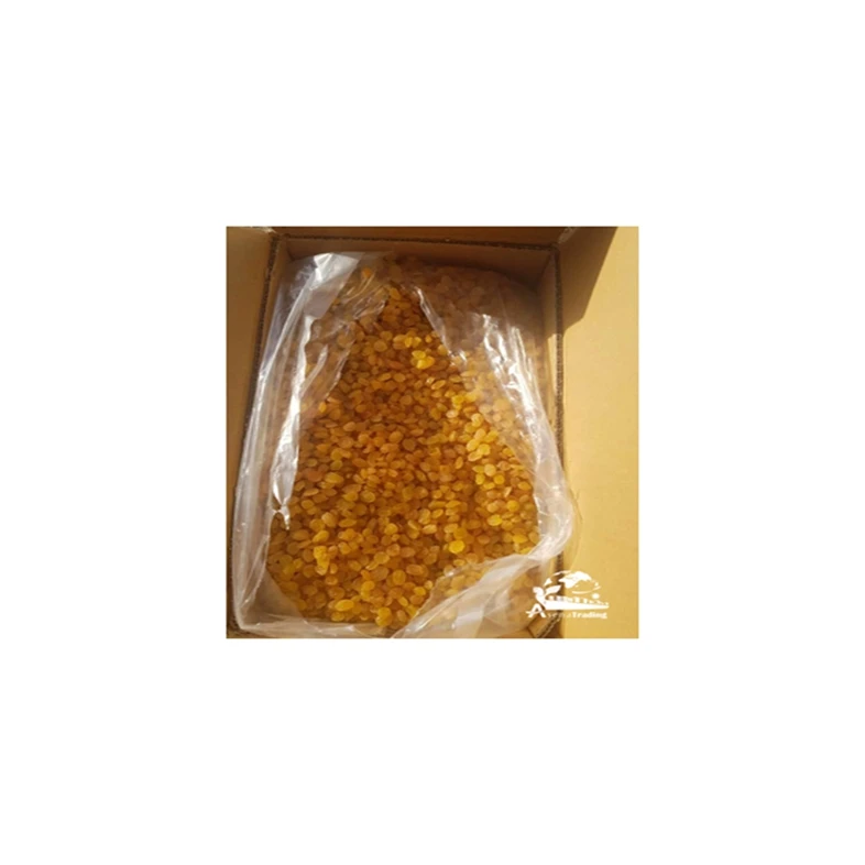 Top Quality raisin Great quality natural dark red sultana currant red green black gold raisin dried raisin