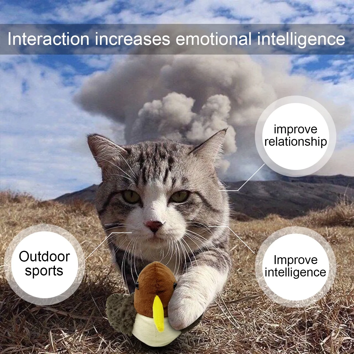 
Cat Plush Fluff Material Toy Funny Cut Jumping Bird with Mouse Sound Bouncing Ball Toy Interactive Pet Toys 