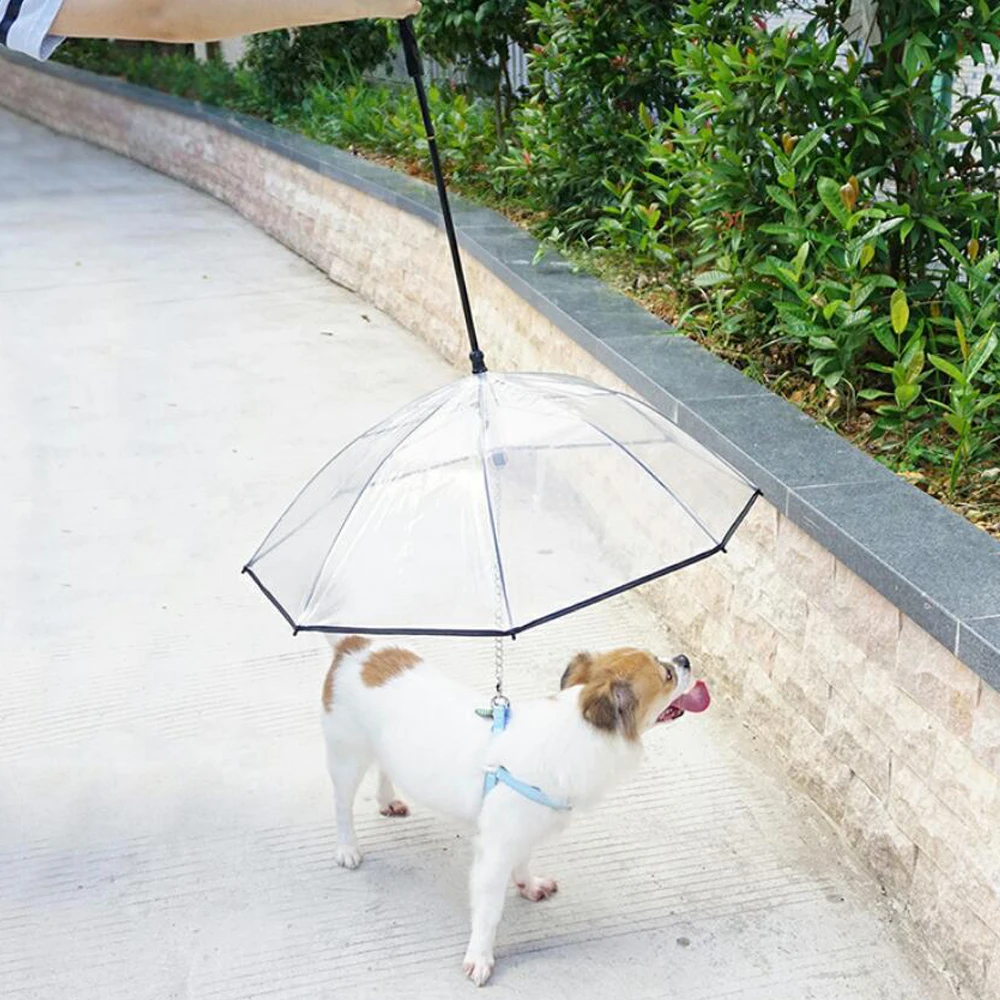 2021 New Product Custom Logo Printing Transparent Pet Umbrella Transparent Umbrella for Dog