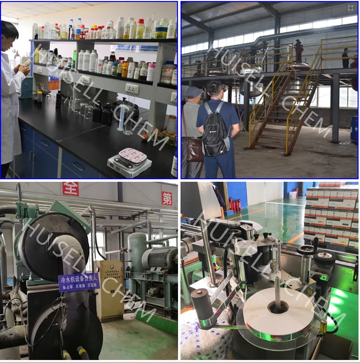 Root Naturally Mycorrhizae Companion- Trichoderma Harzianum