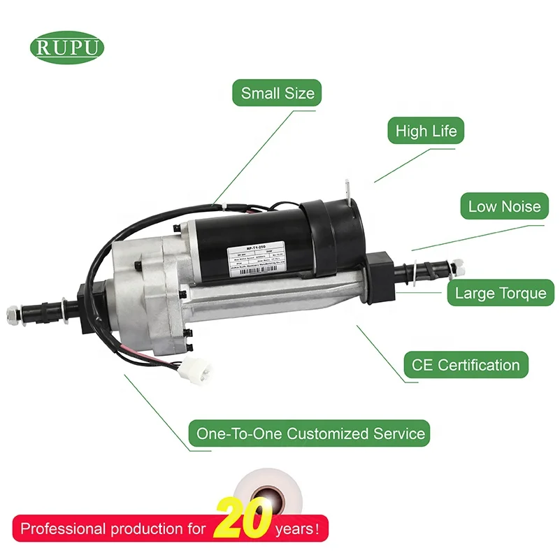 350W 200W Dc Gear Motor 200Rpm 12V 24V Double Shaft 300W Dc Worm Gearbox Motor