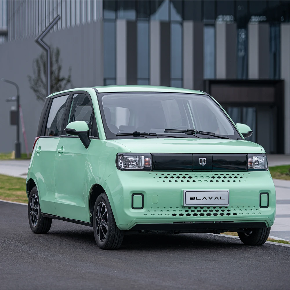 EEC 100KM/H high speed smart 5 seat electric car electric vehicle
