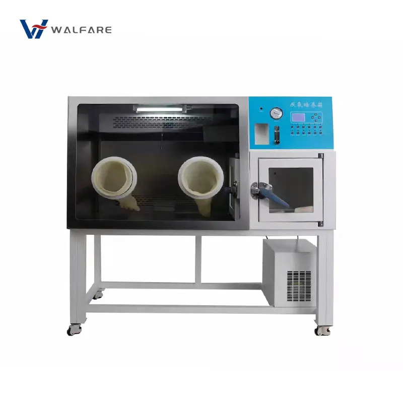 anaerobic incubator  provide an oxygen-free environment quality customizable laboratory equipment good product quality