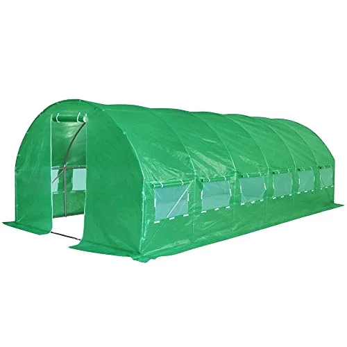 
Professional Low Tunnel Greenhouse Garden House With CE Certificate 