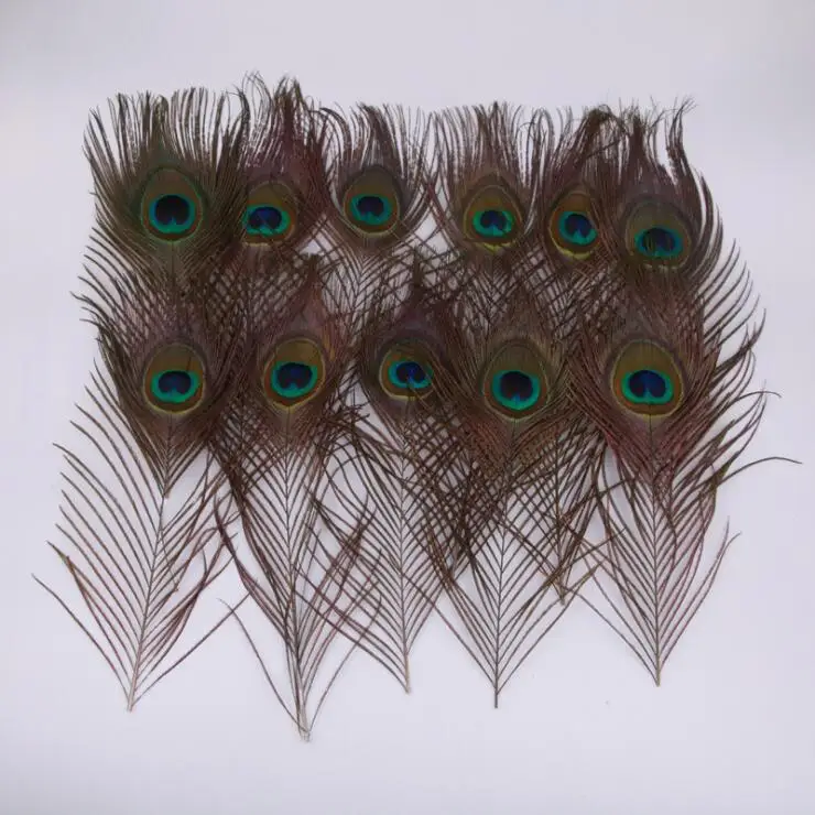 Multiple Peacock Feather Tail Pheasant Tail Rooster Feather