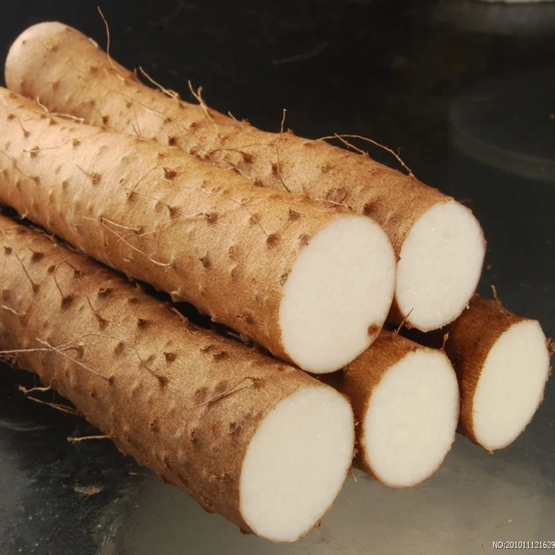high quality Chinese fresh yam for wholesale