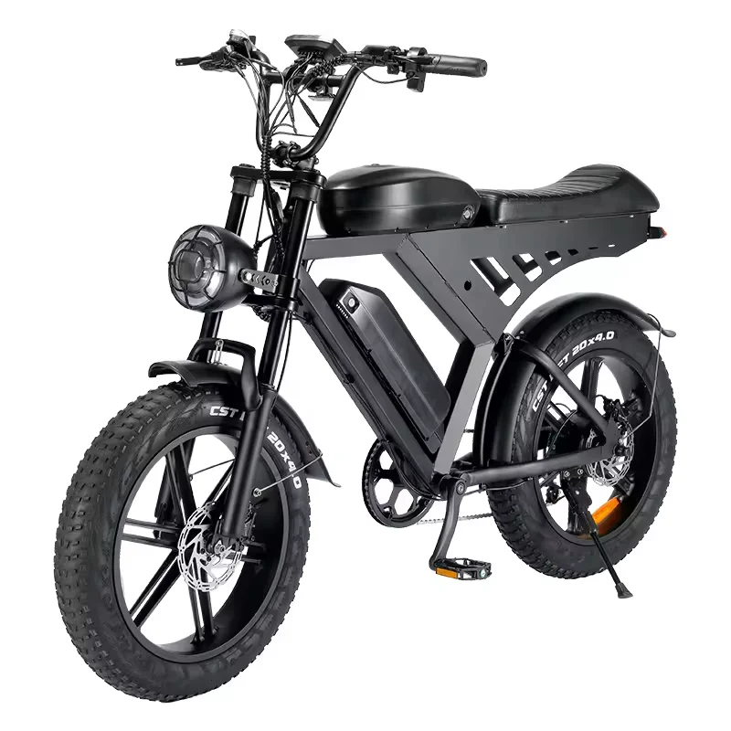 Long Range Fat Tire Hidden Dual Batteries Electric Mountain Bike Bicycle 1000w 48v 15ah Ebike China Manufacturer