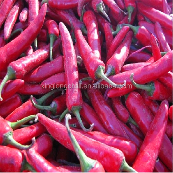 Best Quality Gujillos Chile for Mexico