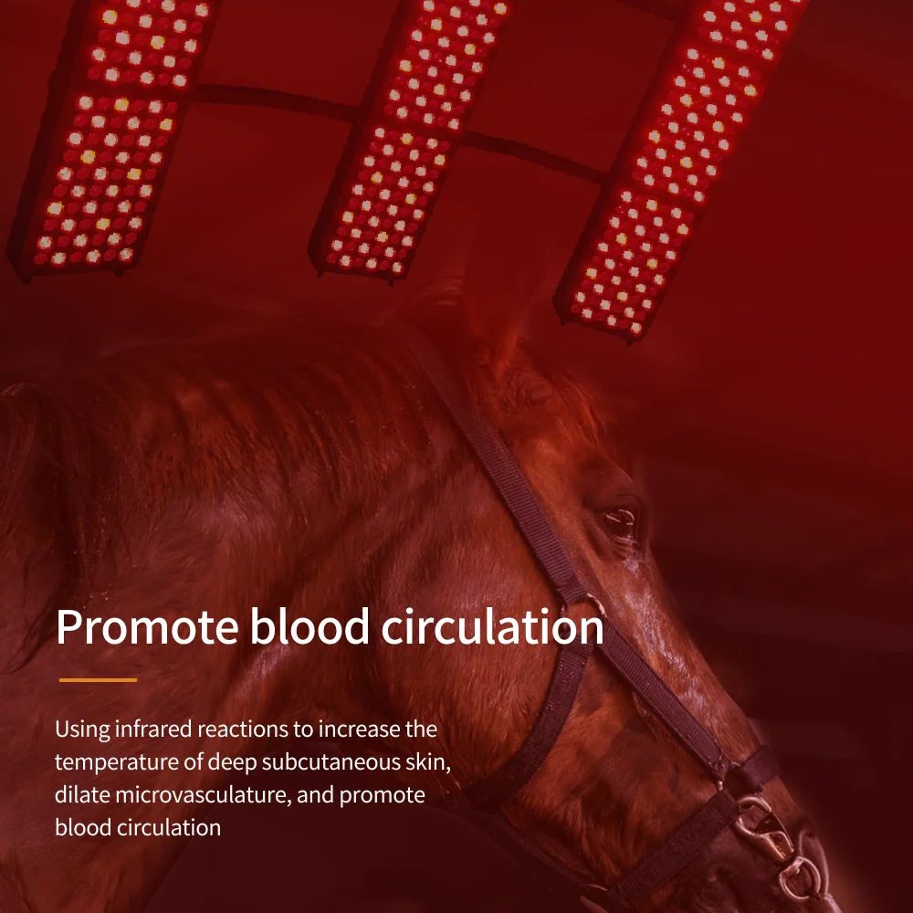 Solarium Horses Lamp Horse Stall Red Light Therapy Equine Solarium
