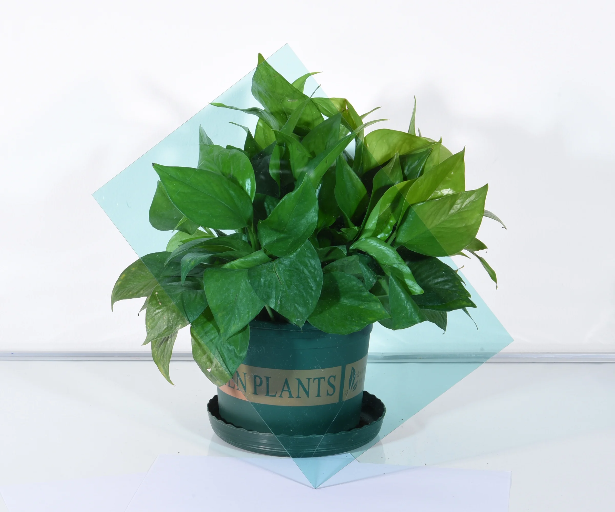 polycarbon card faceshield polycarbonate plaque 0.125mm-35mm PC