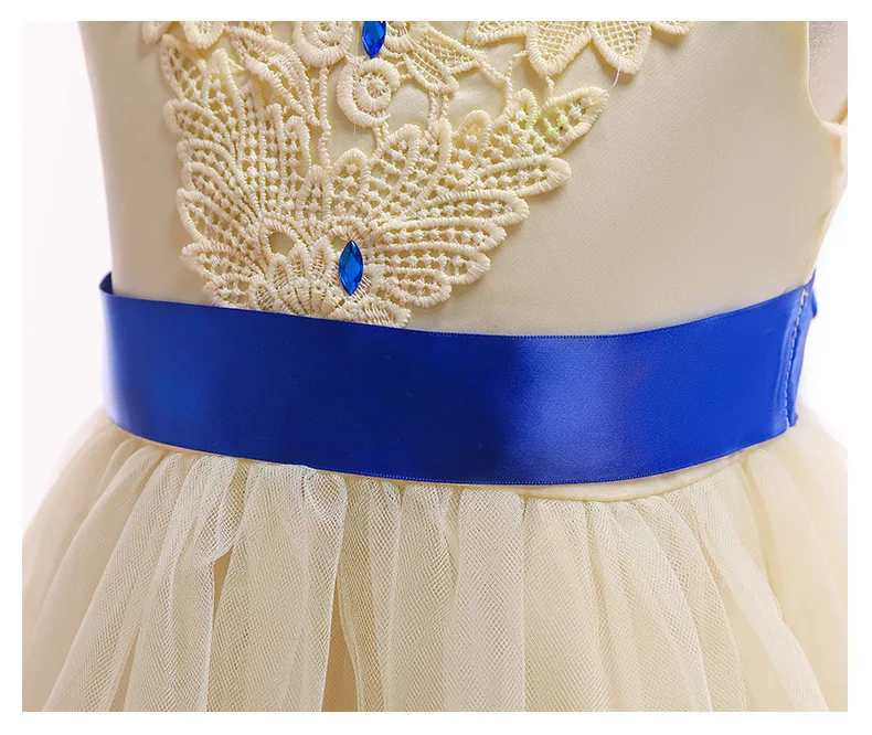 Latest design Luxury lace flower frocks embroidery girl dresses for wedding princess Baby girl dress party