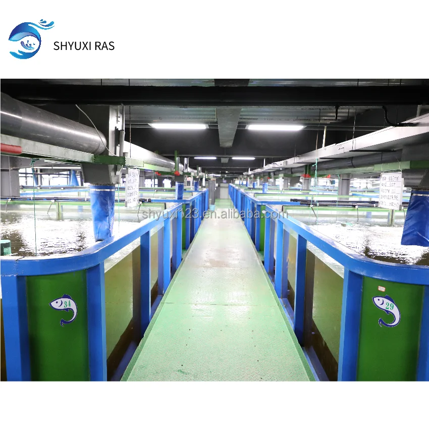 Large-scale factory aquaculture integrated intelligent monitoring and management system