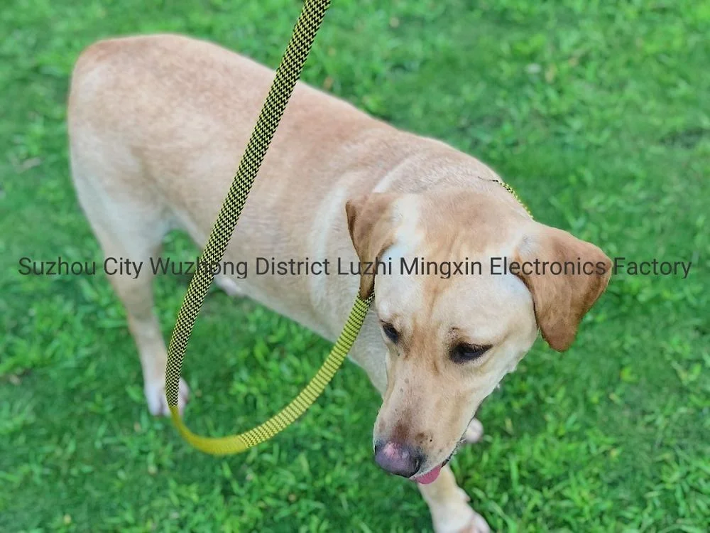 Lightweight Size-adjustable  Dog collar and leash dog harness leash HOT SELLER in USA