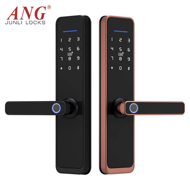 Electronic Hotel Advanced Intelligent Fingerprint Wifi App Access Smart Handle Door Lock
