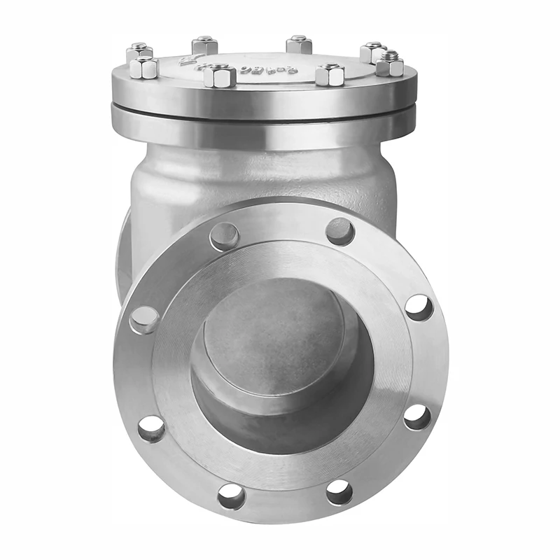  Wholesale 4' Water Stainless Steel 304 Flanged Flow Control Swing Check
